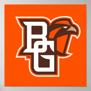 BG Falcons Poster