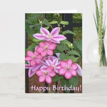 Bg- Happy Birthday! Pink Clematis Card by patcallum at Zazzle
