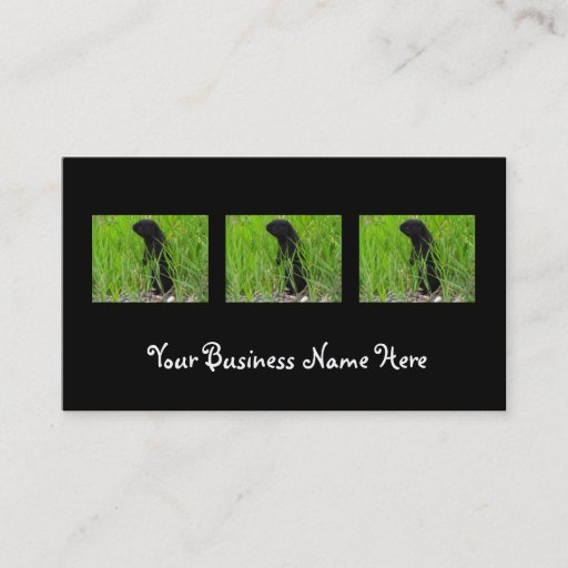 Customizable BGRO Black Ground Squirrel Business Card Template