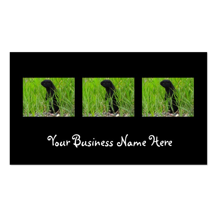 BGRO Black Ground Squirrel Business Card Template