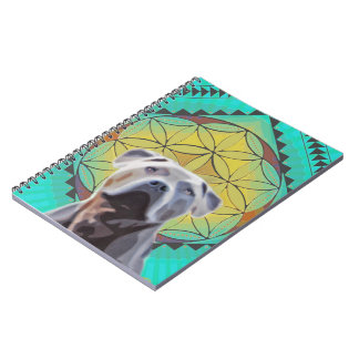 Bhalu's Book of Bliss