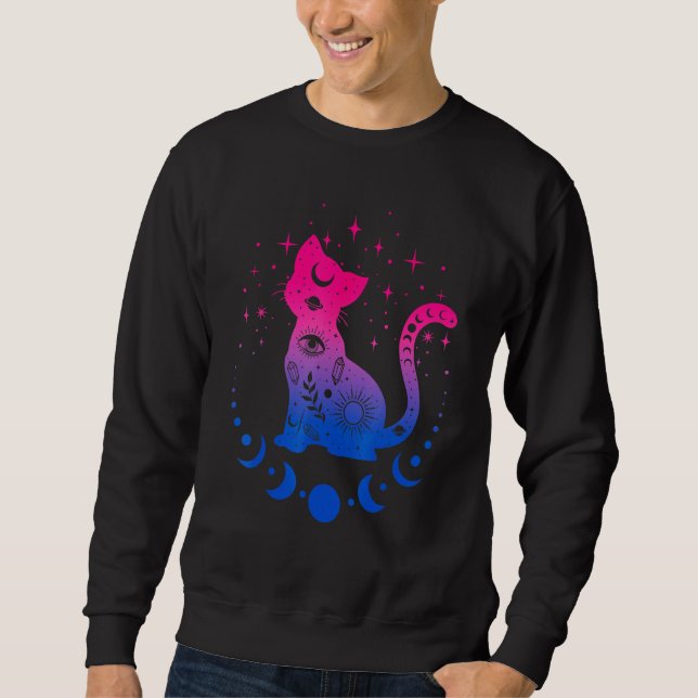 Bi Bisexual Pride Flag Colors Astronomy Cat  LGBT  Sweatshirt (Front)