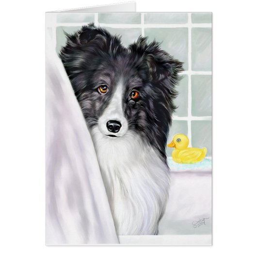 Bi Black Sheltie Bath Cards (Front)