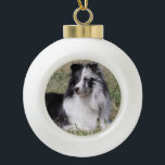 Bi Blue Merle Sheltie with Split Face Ceramic Ball Christmas Ornament<br><div class="desc">Celebrate Christmas with this beautiful bi-blue merle Sheltie.  The real sheltie was 1 year old when this photo was taken at a horse ranch.</div>