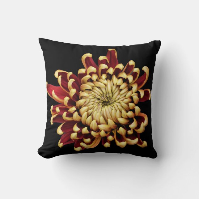 Bi-colored Chrysanthemum throw pillow (Front)