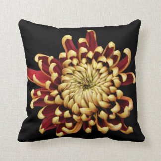 Bi-colored Chrysanthemum throw pillow