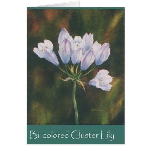 Bi-colored Cluster Lily Cards (Front)