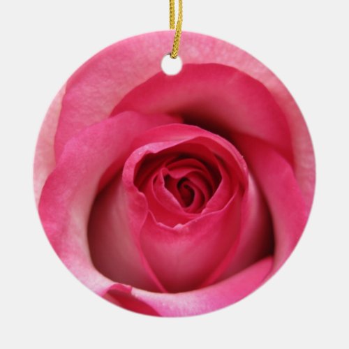 bi colour rose ornament