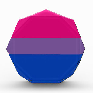 Bi Flag Flies For Bisexual Pride Award