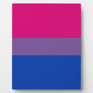 Bi Flag Flies For Bisexual Pride Plaque