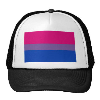 Bi Flag Flies For Bisexual Pride Trucker Hat