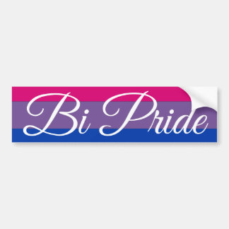 Bi Pride Bumper Sticker