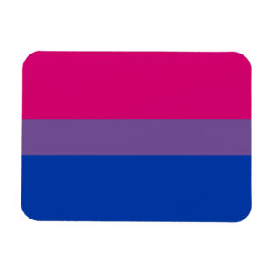 Bi Pride Flag Magnet (Premium)