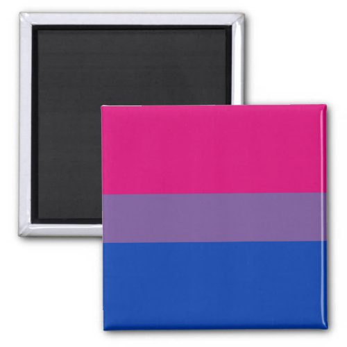 Bi Pride Flag Magnets