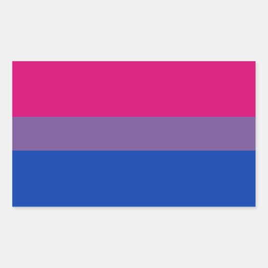 Bi Pride Flag Sticker Sheets Rectangle