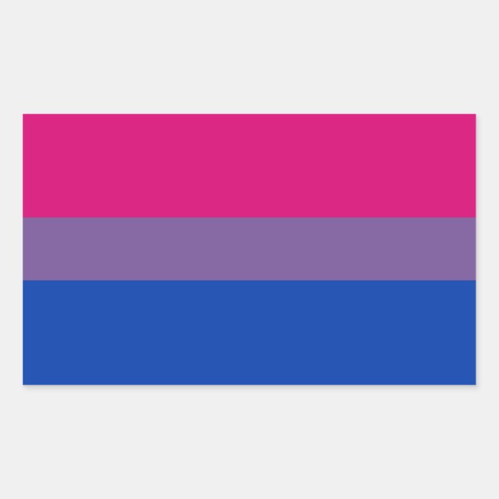 Bi Pride Flag Sticker Sheets (Rectangle)