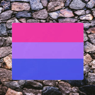 Bi Pride Metal Wall Art