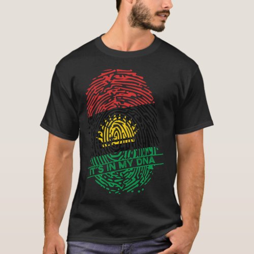 Biafran Flag Biafra In My DNA Pullover Hoodie