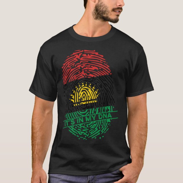 Biafran Flag Biafra In My DNA Pullover Hoodie (Front)
