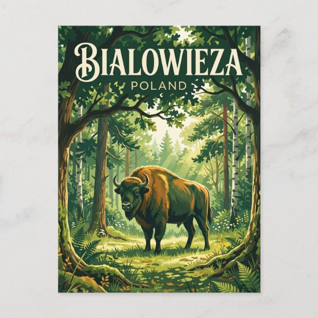 Bialowieza National Park Poland Postcard (Front)