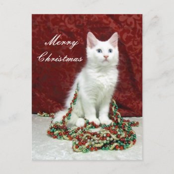 Bianca's Christmas Postcard - Cat / Kitten