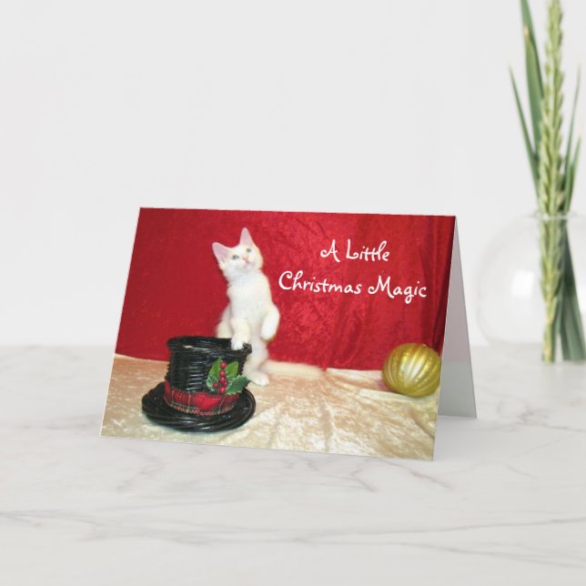 Bianca's Magic Hat Maine Coon Cat Christmas Card (Front)