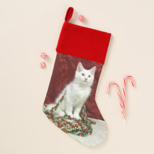 Bianca's Maine Coon Cat Christmas Stocking