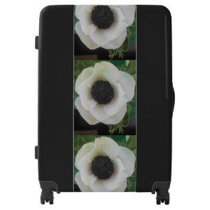 Bianchard Luggage