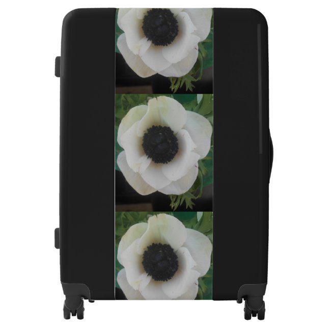 Bianchard Luggage (Front)