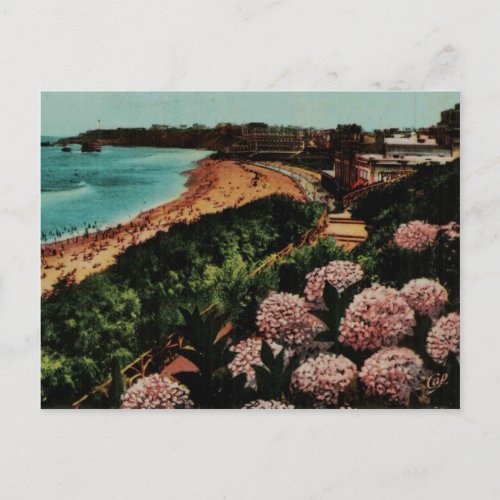 Biarritz Hortensias France Postcard