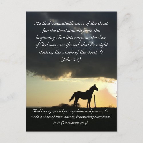 Bible passage a lovely horse in the sunset postcard