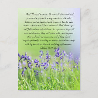 Bible passage, bluebells close up postcard