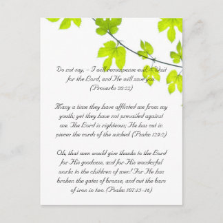 Bible passage, green leaves postcard