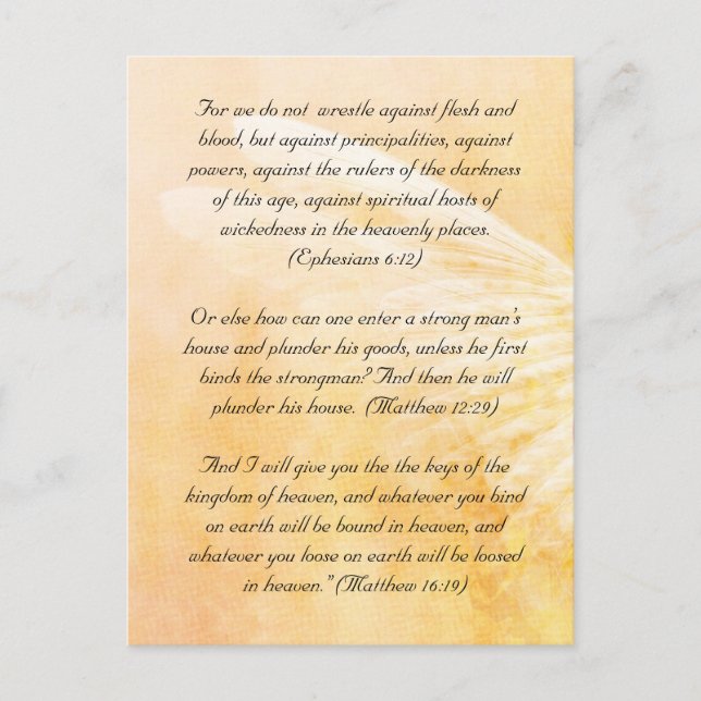 Bible passage, grunge wings postcard (Front)