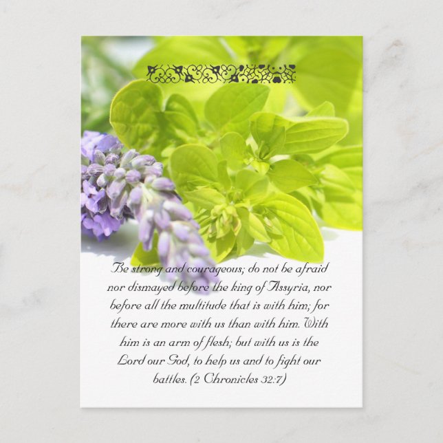 Bible passage,herbs close up postcard (Front)