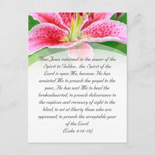 Bible passage, pink lily postcard (Front)