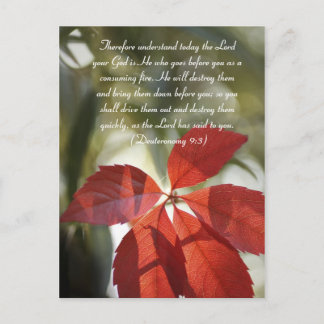 Bible passage, red autumn leaf postcard