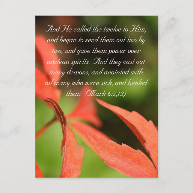 Bible passage, red leaves close up postcard (Front)