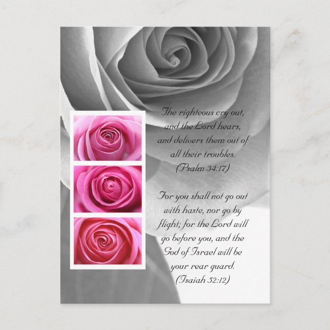 Bible passage, rose close up black and white postcard (Front)
