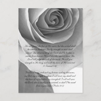 Bible passage, rose close up black and white postcard