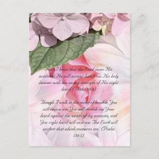 Bible passage, rose floral design postcard
