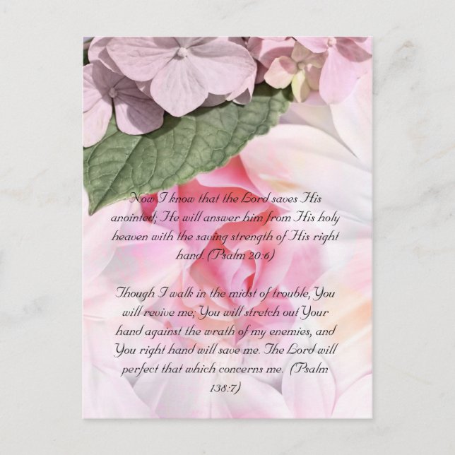 Bible passage, rose floral design postcard (Front)