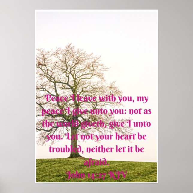 Bible peace quote  poster (Front)