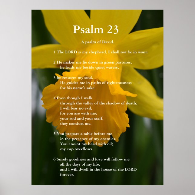 Bible Psalm 23 scripture verses. yellow daffodil Poster (Front)