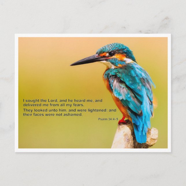 Bible quotation - Psalm 34 Postcard (Front)