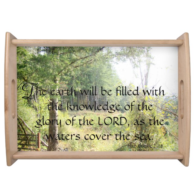 Bible Scripture Christian Inspiration Serving Tray (Front)