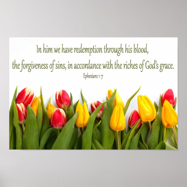 Bible Scripture Ephesians 1: 7 Colorful Tulips Poster (Front)