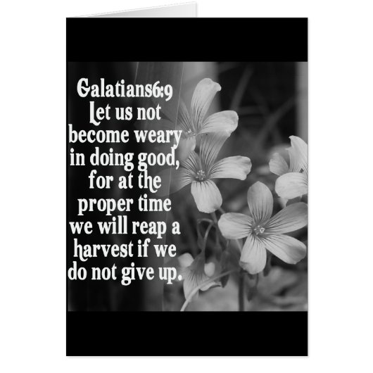 BIBLE SCRIPTURE GALATIANS 6:9 CARDS (Front)