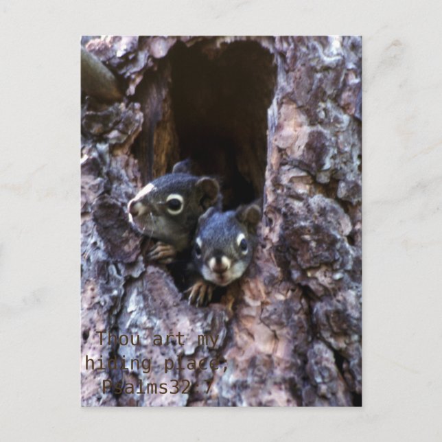 Bible scripture postcard (Front)