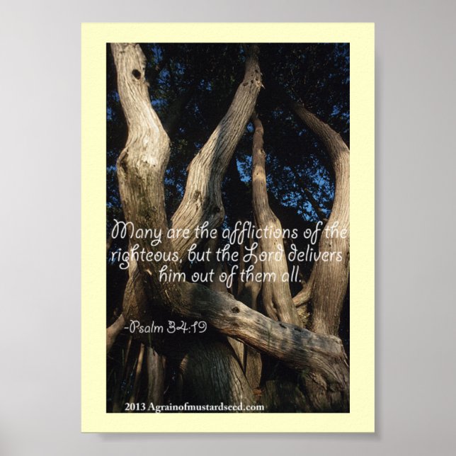 Bible Scripture Prayers Poster (Front)